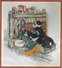 Anchor CSK 10 Not A Moments Peace