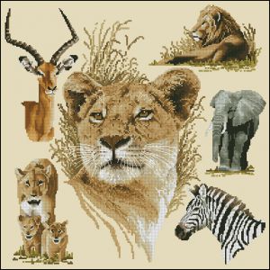 Сафари семплер