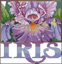 ASN-Magnificent_Iris