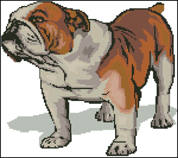 Вышивка крестом Бульдог