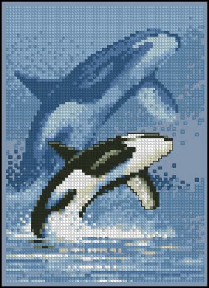 Свободная касатка