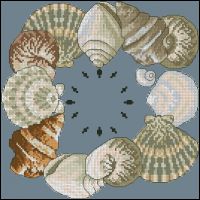 Shell Clock