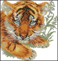 1-10 Baby tiger