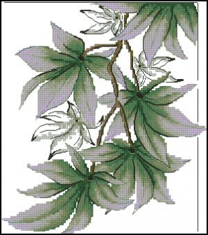 Зарисовки природы