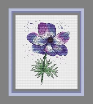 Нежный анемон