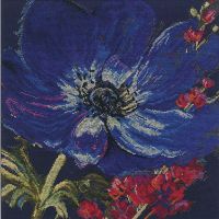 Anchor Maia 5678000-01093 How DidYou Get So Beautiful