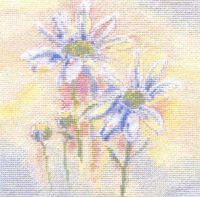 Вышивка крестом Нежные ромашки