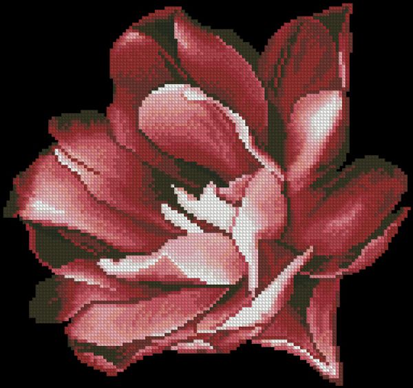 Вышивка крестом Бутон тюльпана