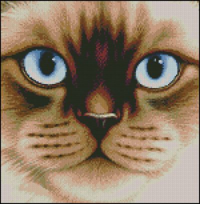 Вышивка крестом Взгляд кошки-1
