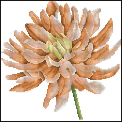 Вышивка крестом Цветок георгина