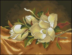 Магнолия - натюрморт