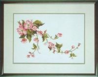 Anchor Design - Wild Roses