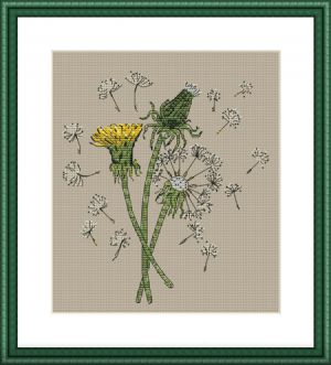 Одуванчики