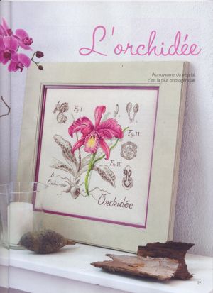 Вышивка крестом Орхидея
