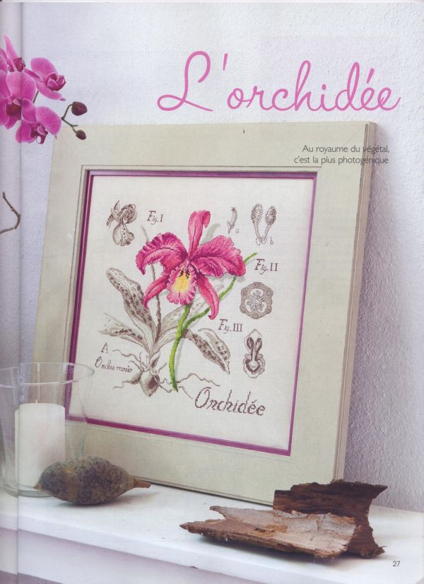Вышивка крестом Орхидея