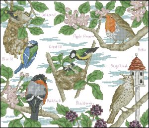 Садовые птицы