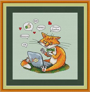 Кот - блогер