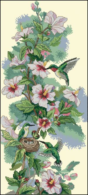 Гибискус и колибри