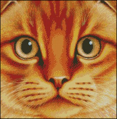 Вышивка крестом Взгляд кошки-2