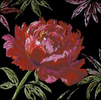 Anchor 5678000-01007 Well Worth Waiting For-Peony