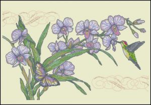 Орхидея и колибри