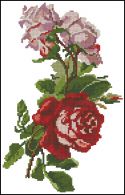 3 roze