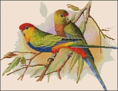 Вышивка крестом Пара попугаев