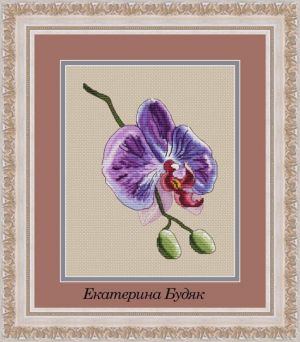 Седьмой цветок радуги