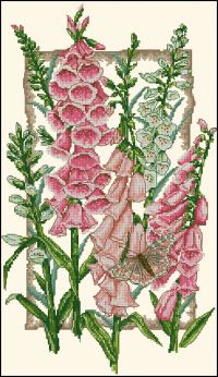 Anchor PCE936 Flowering Foxgloves