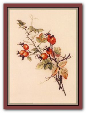 Осенний шиповник