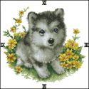 270103 My Dog