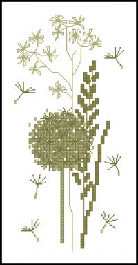 CS June 2009 Dandelion clock