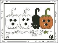 Cat O Lantern