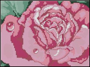 Вышивка крестом Розовая свежесть