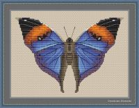 Вышивка крестом Бабочка Kallima Inachus