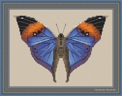 Вышивка крестом Бабочка Kallima Inachus
