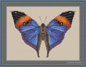 Бабочка Kallima Inachus