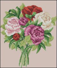 DFeA 24 Divines pivoines