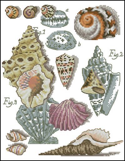 Вышивка крестом Морские ракушки