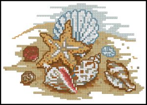 Морские ракушки