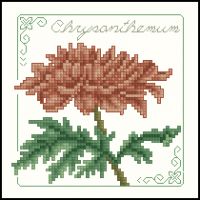 Carolyn Meacham Chryzanthemum