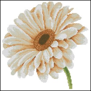 Цветок гербера