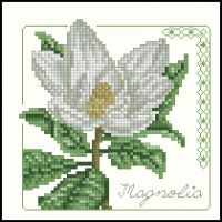 Carolyn Meacham Magnolia