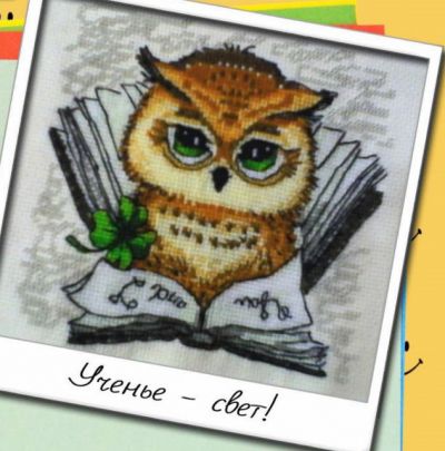 Вышивка крестом Ученье - свет!