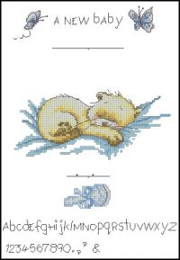 Anchor STC01 Birth Sampler-Boy