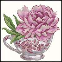 CPdC 7 Pivoine de chine