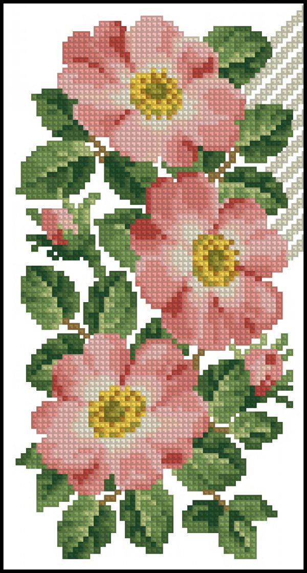 Вышивка крестом Цветы шиповника