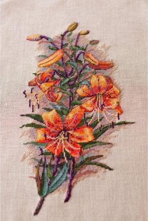 Тигровая лилия