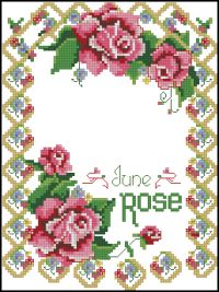 ASN8640 A Year of Flowers June