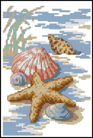 Ракушки на песке